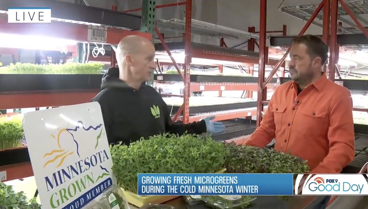 Good Day Live Fox 9